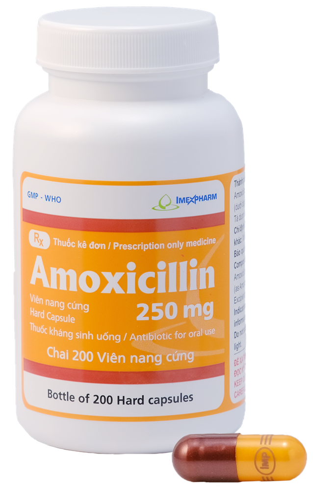 Amoxicillin 250mg (Nang cứng)